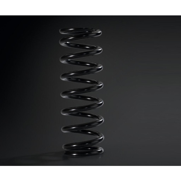 Kawasaki REAR SHOCK SPRING